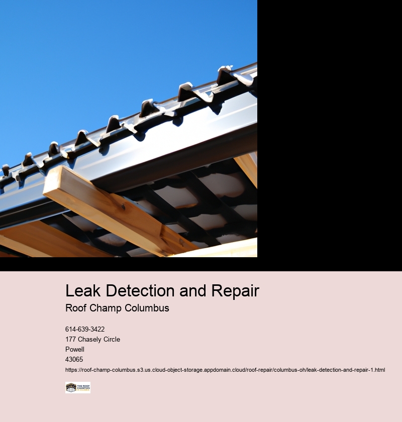 Leak Detection and Repair